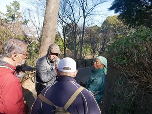 庭園散歩【2026年１月18日】
