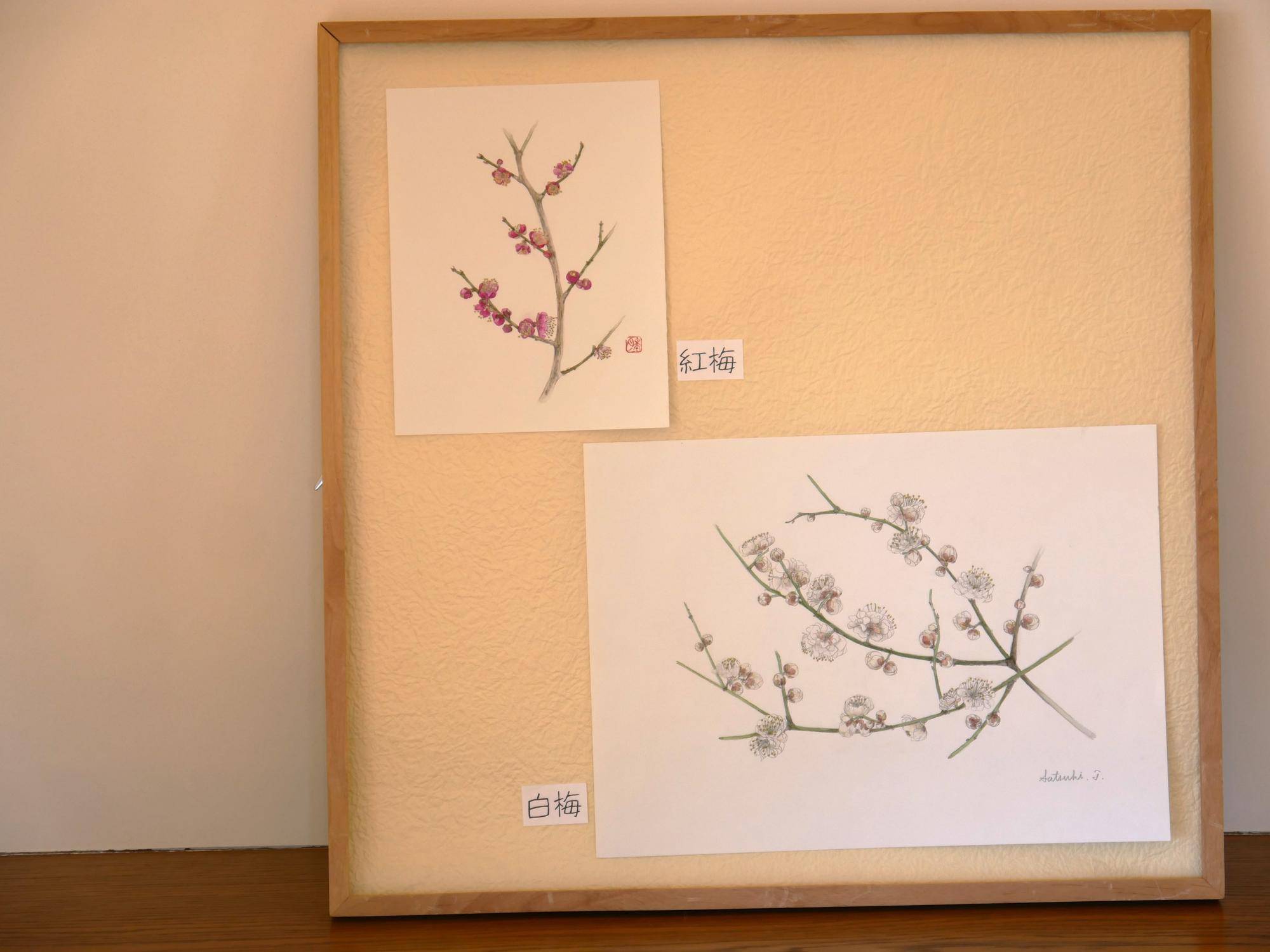 水彩画展「俣野別邸庭園の植物たち」の写真