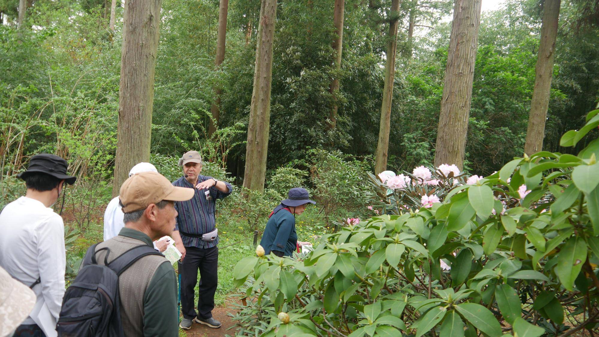 庭園散歩　2026年４月から６月の写真