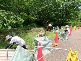 除草ボランティア募集！の画像