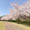 俣野別邸庭園 桜開花情報【2026年４月３日】の画像