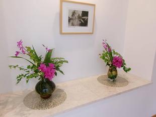 ４月の館内装飾