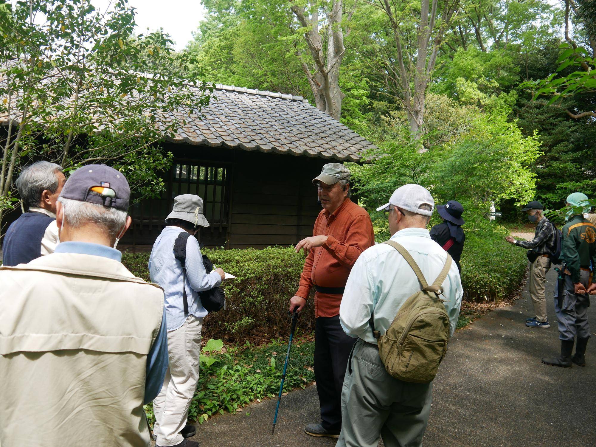 庭園散歩【2026年４月19日】の写真