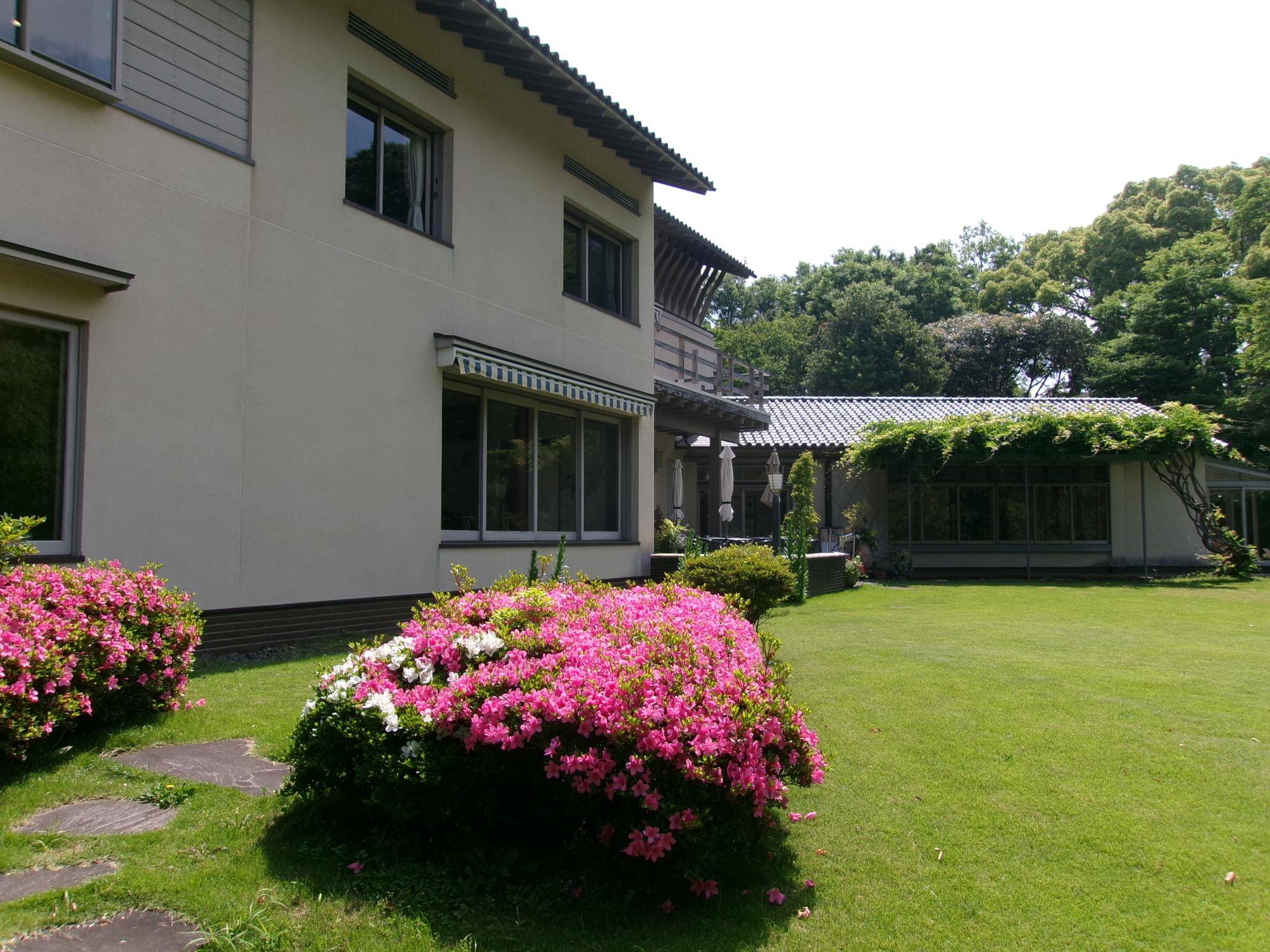初夏の日差しの写真