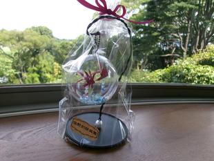 金魚のサマーボールを販売しています