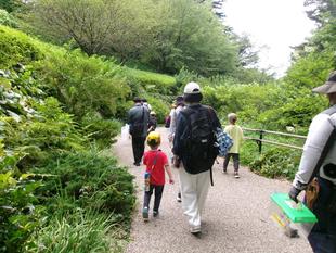 俣野別邸庭園の昆虫観察会