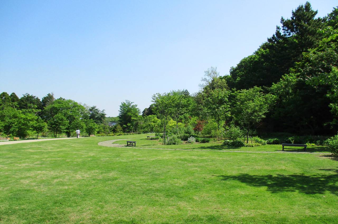 俣野別邸庭園_芝生広場.jpg