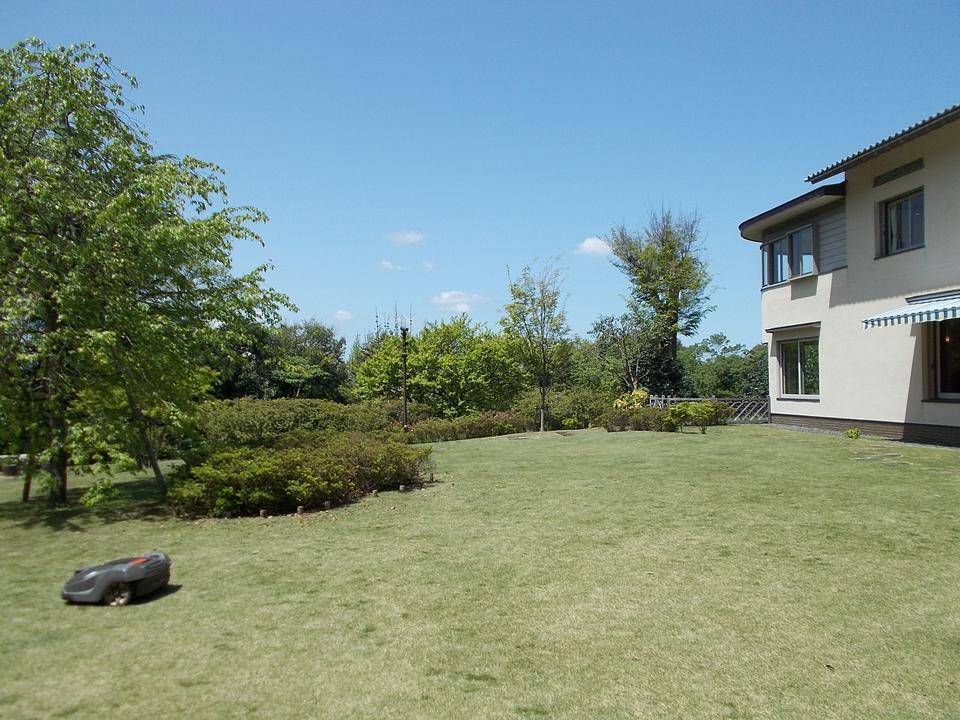DSCN0600.jpg
