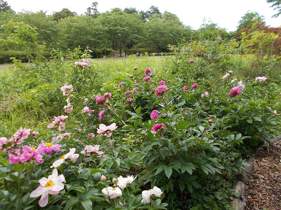 DSCN0836.jpg