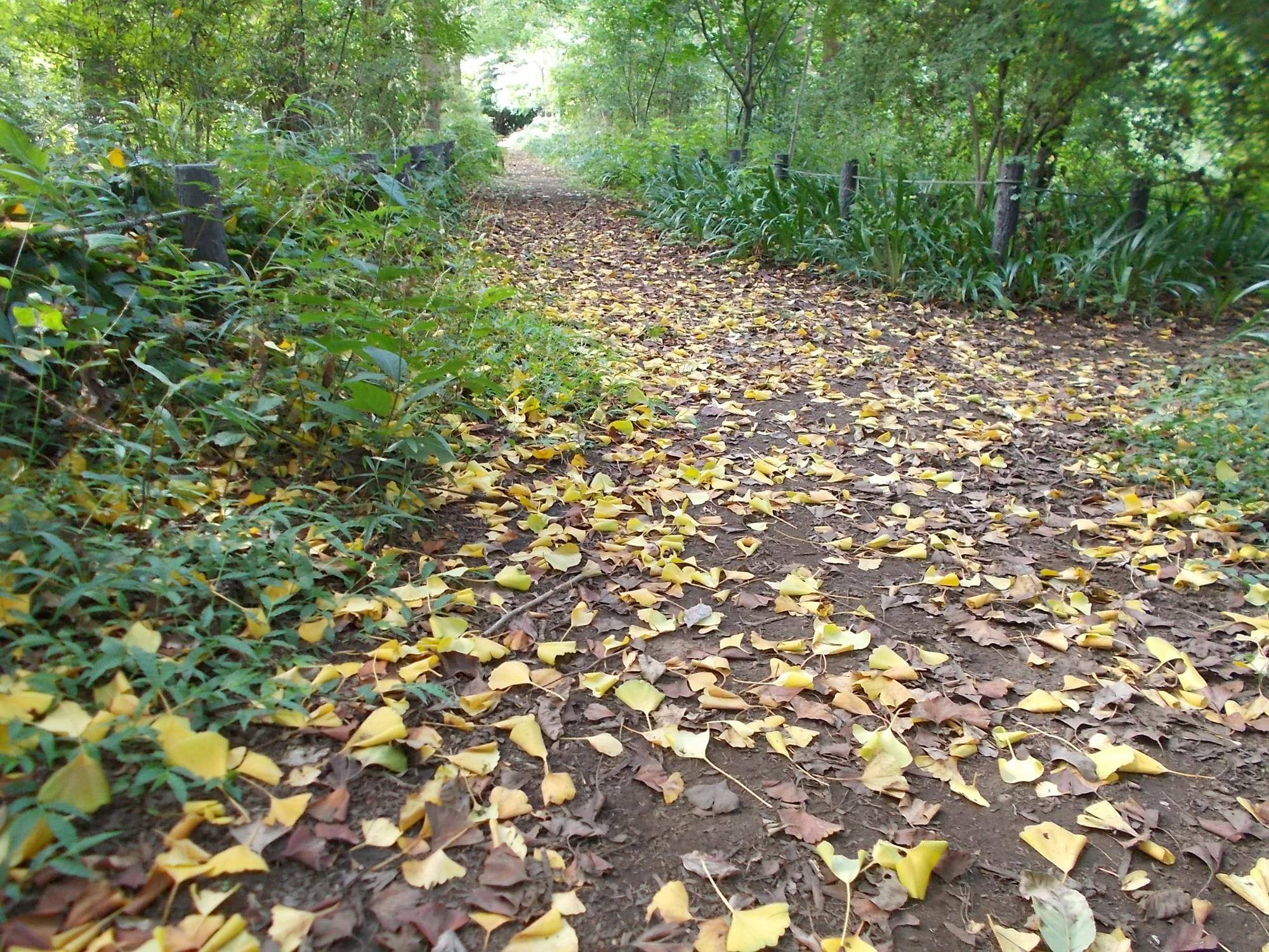 DSCN8897.jpg