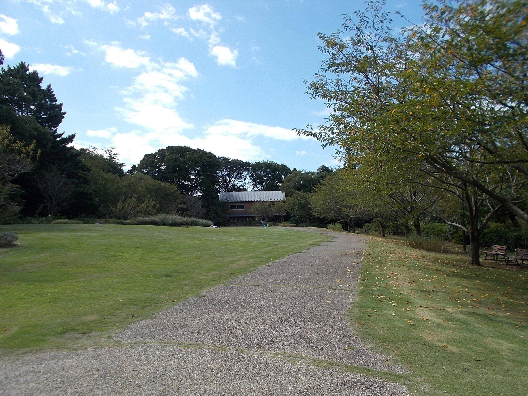 DSCN8895.jpg