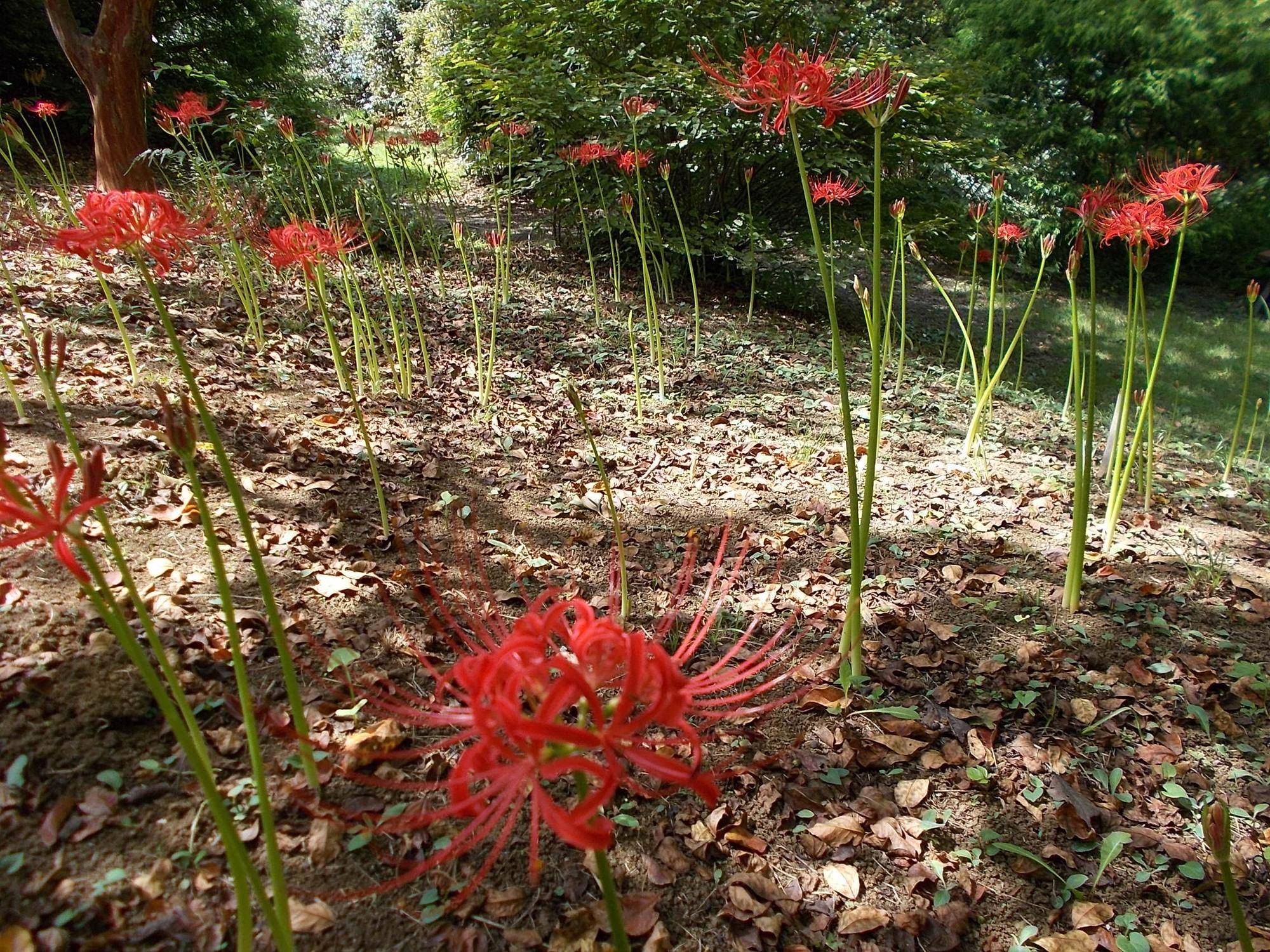 DSCN8899.jpg