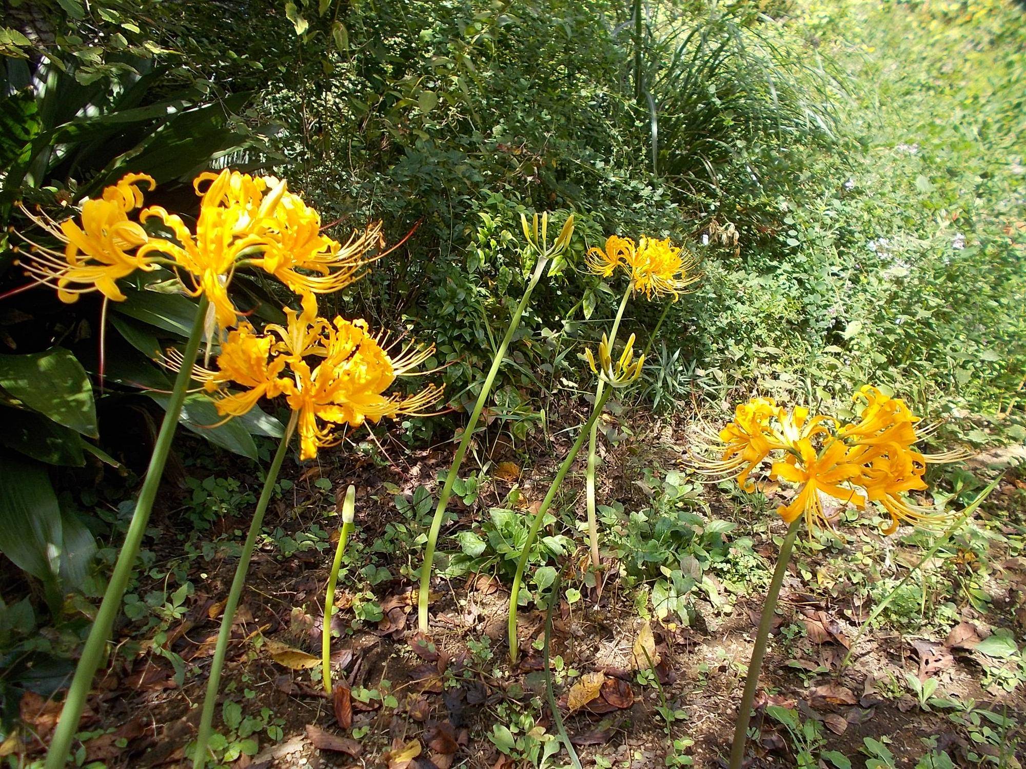 DSCN8900.jpg