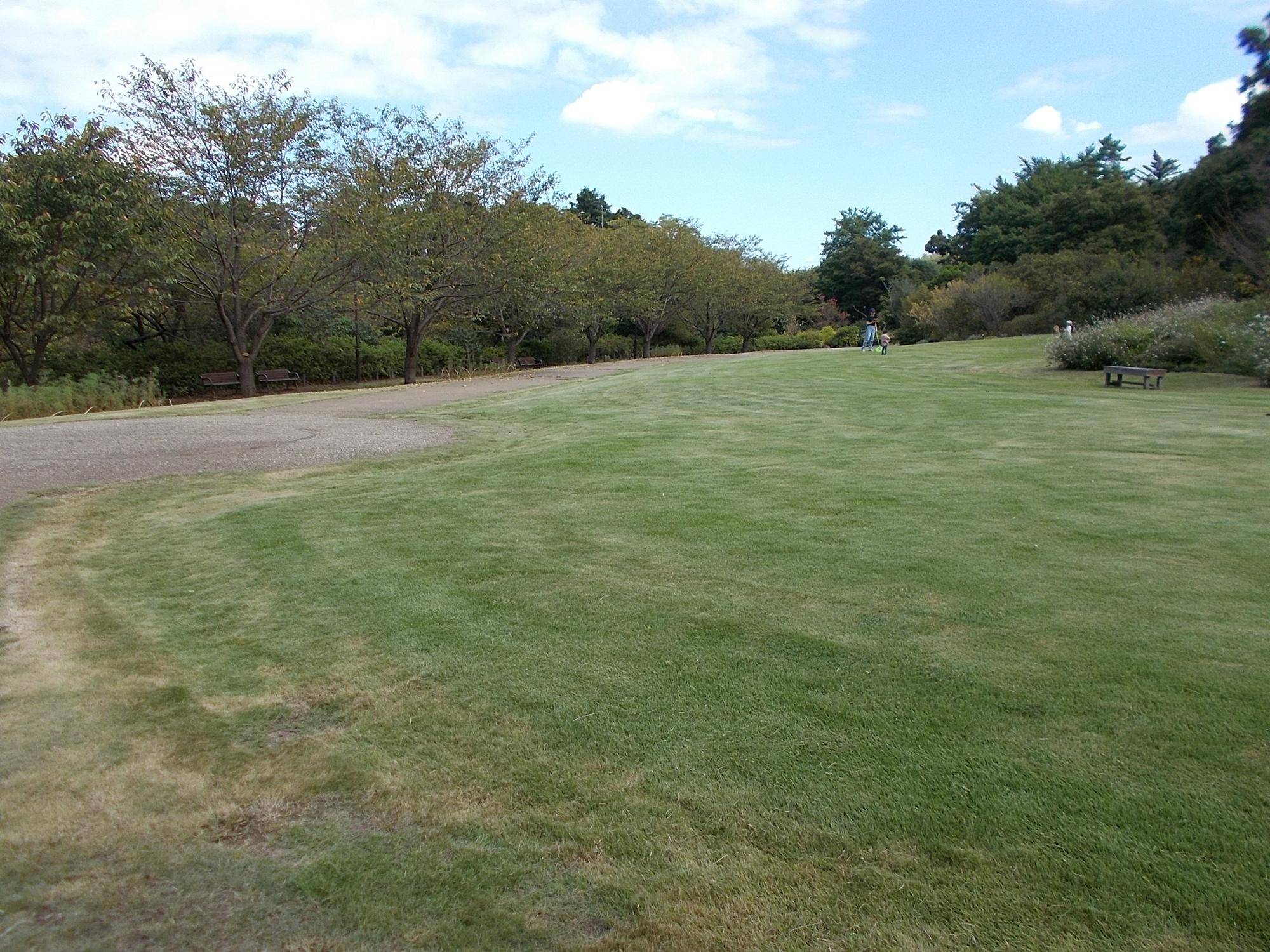 DSCN8905.jpg