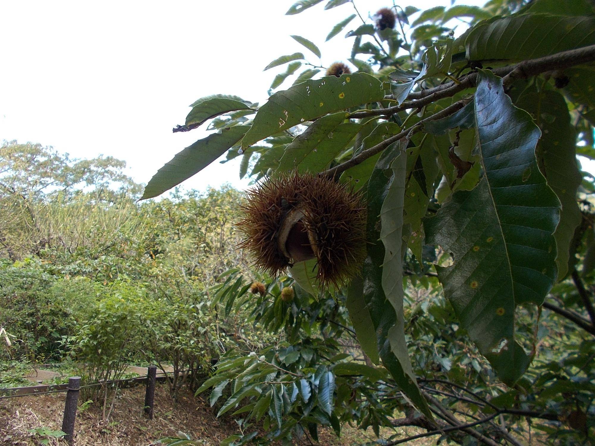 DSCN8909.jpg