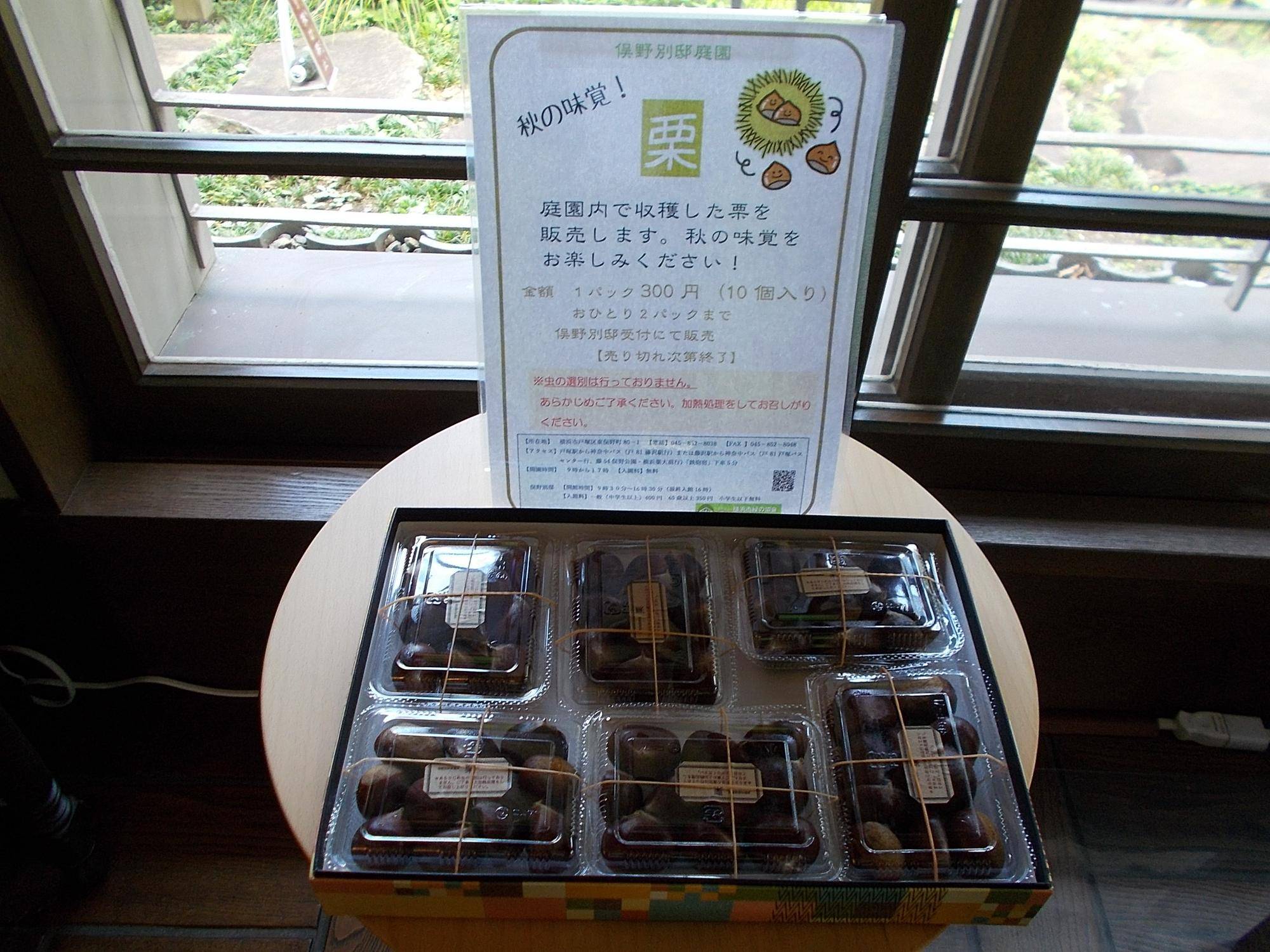 DSCN8913.jpg