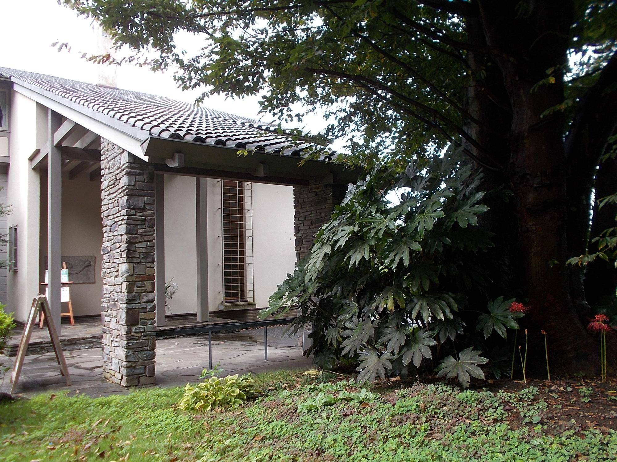 DSCN9004.jpg