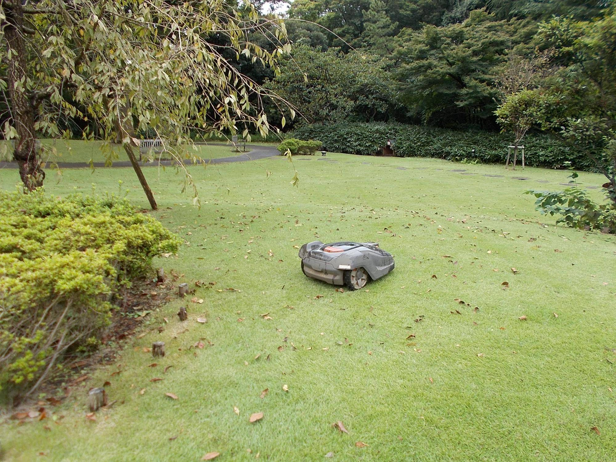 DSCN9020.jpg