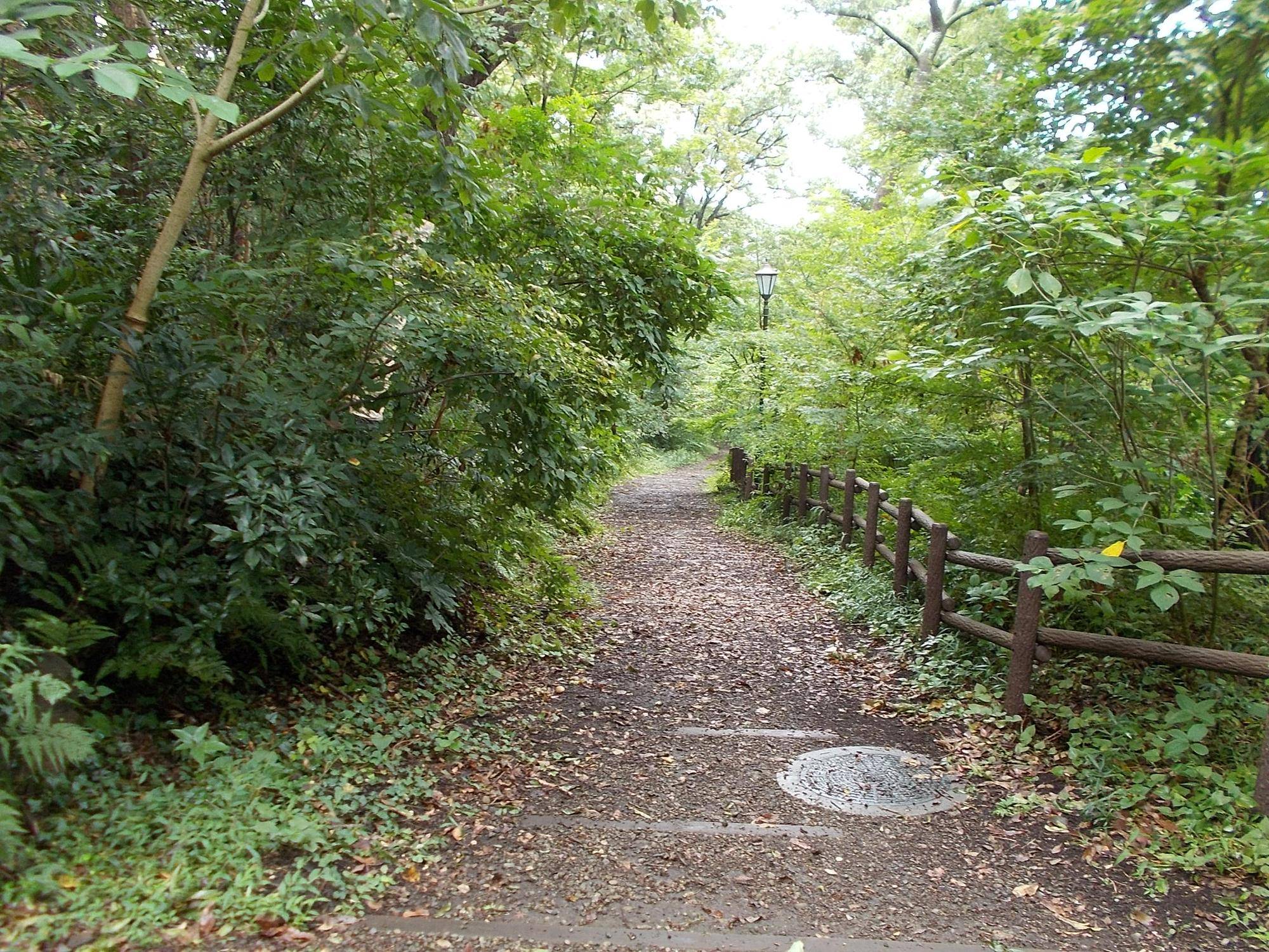 DSCN9021.jpg