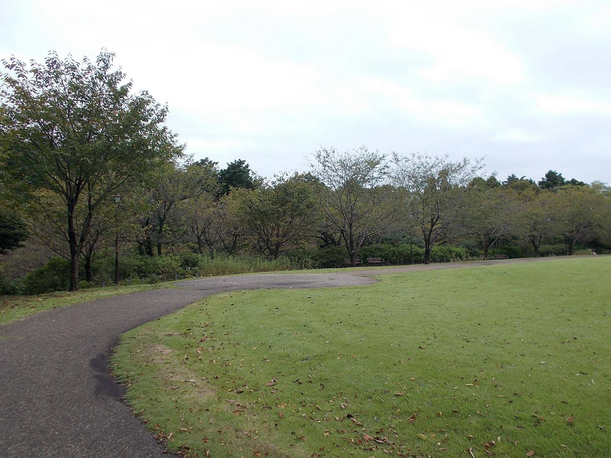 DSCN9023.jpg
