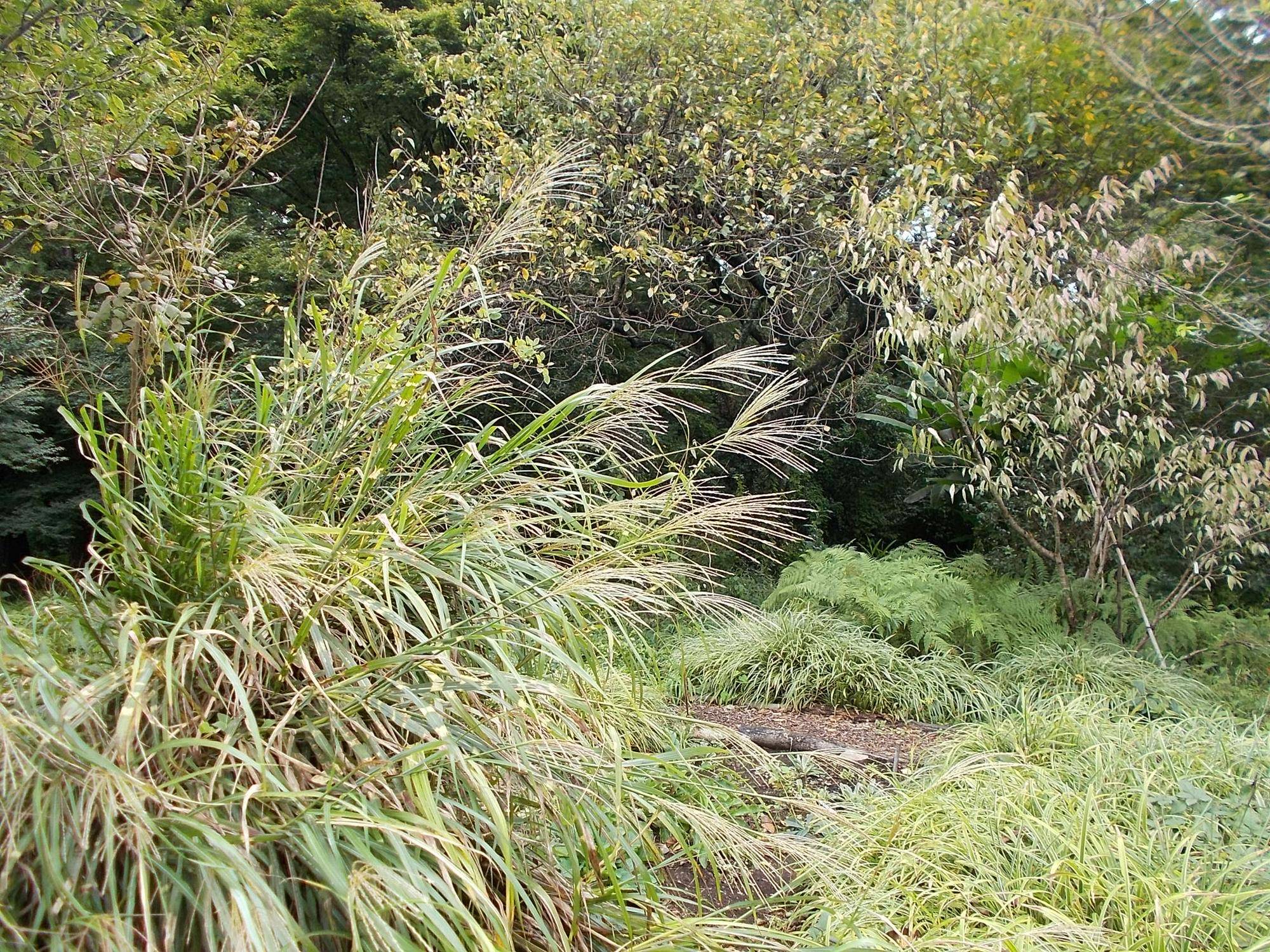 DSCN9026.jpg