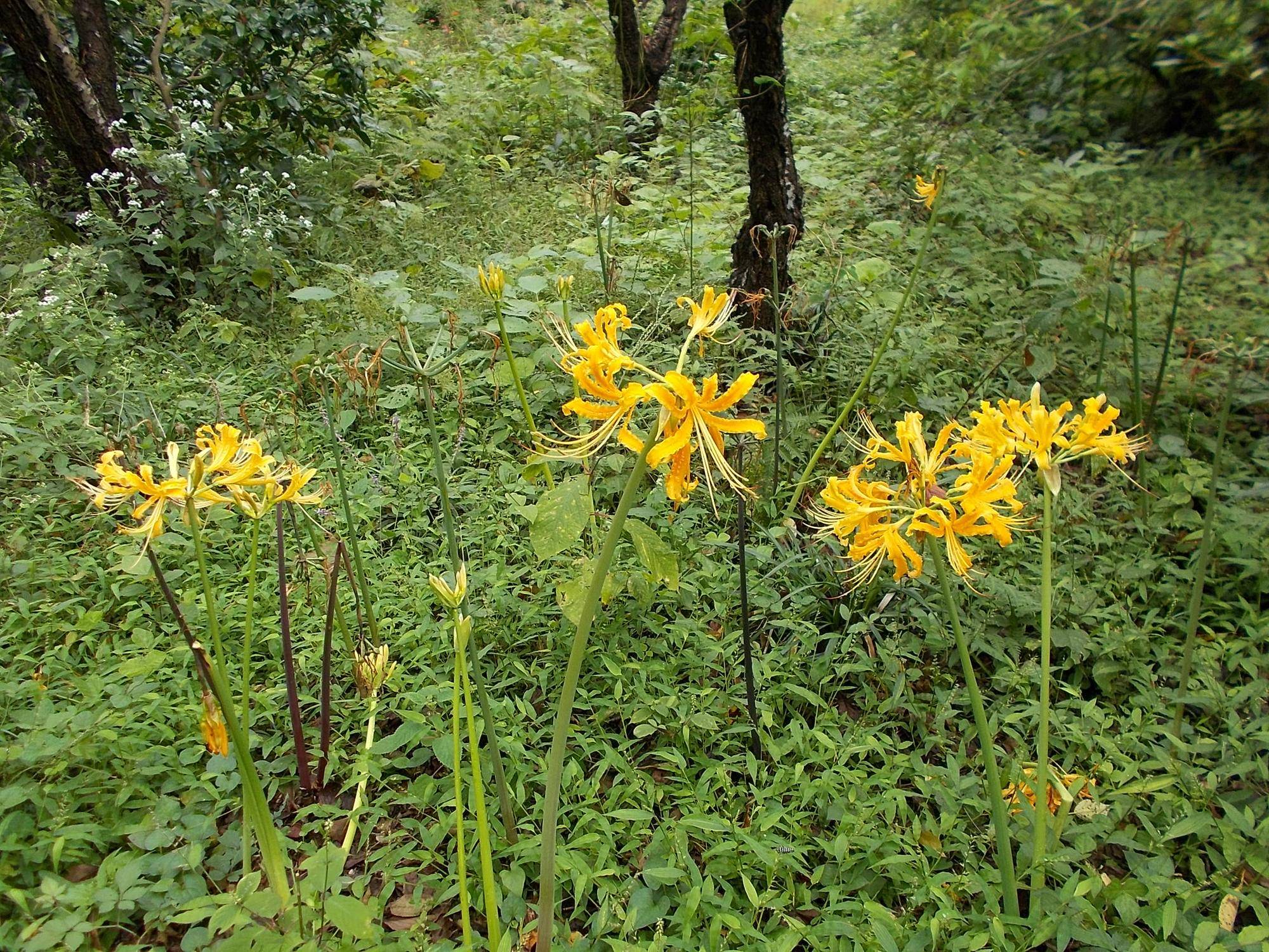 DSCN9028.jpg