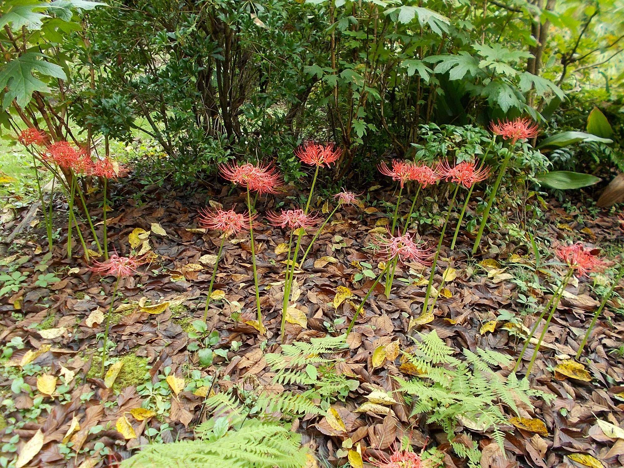 DSCN9030.jpg