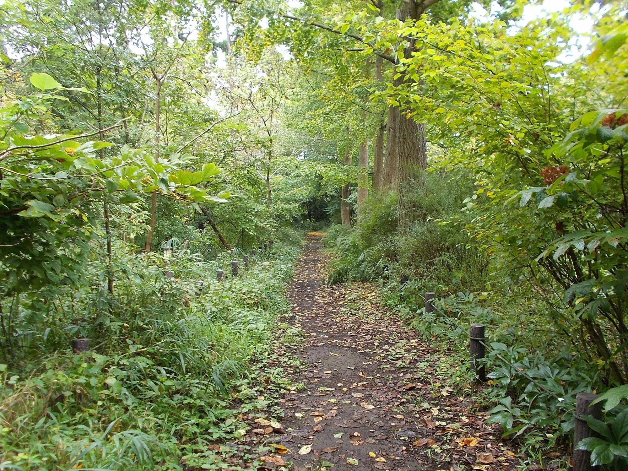 DSCN9031.jpg