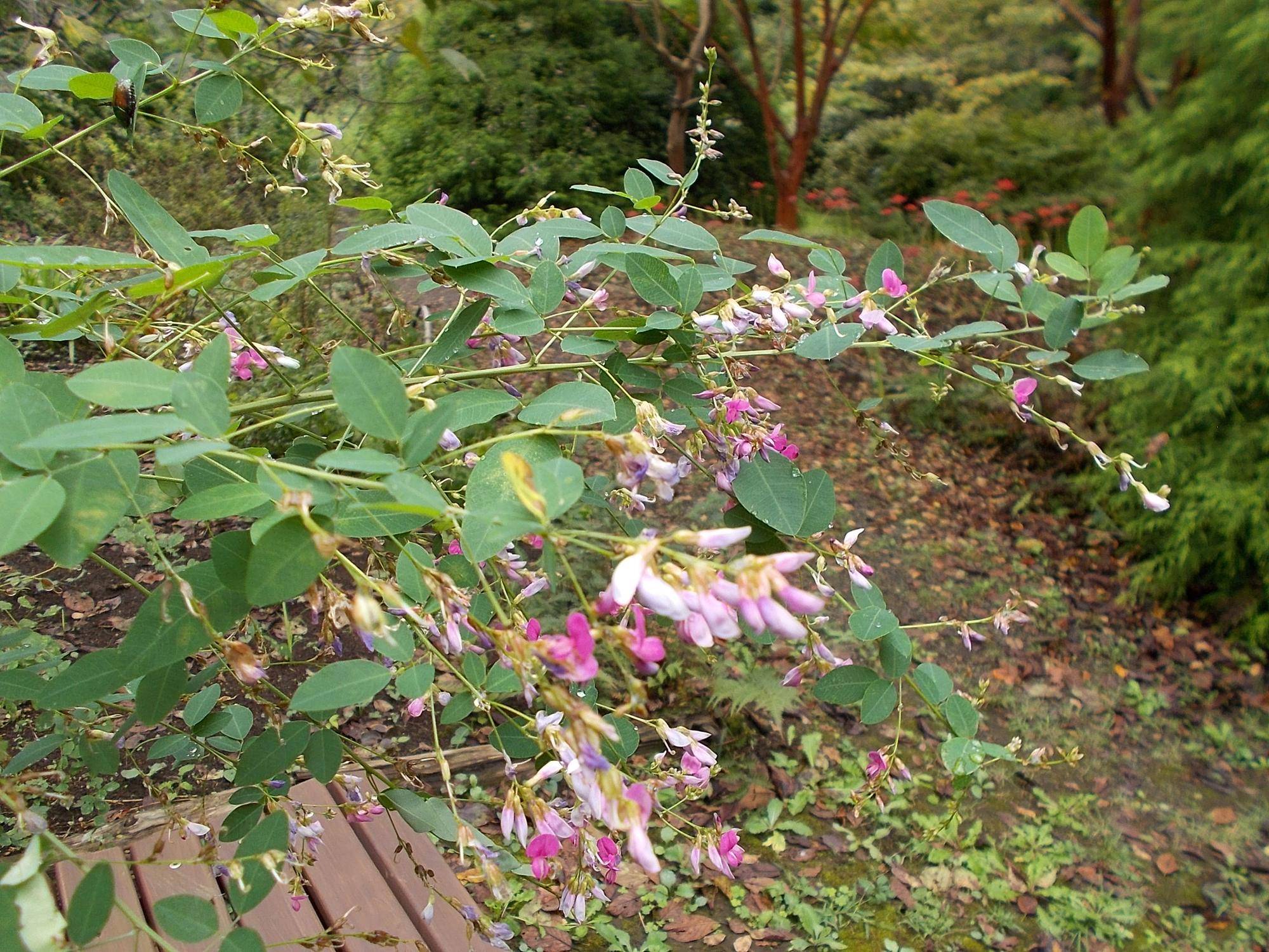 DSCN9032.jpg