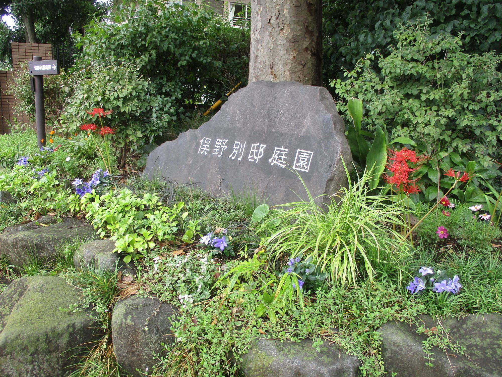 IMG_7756.jpg