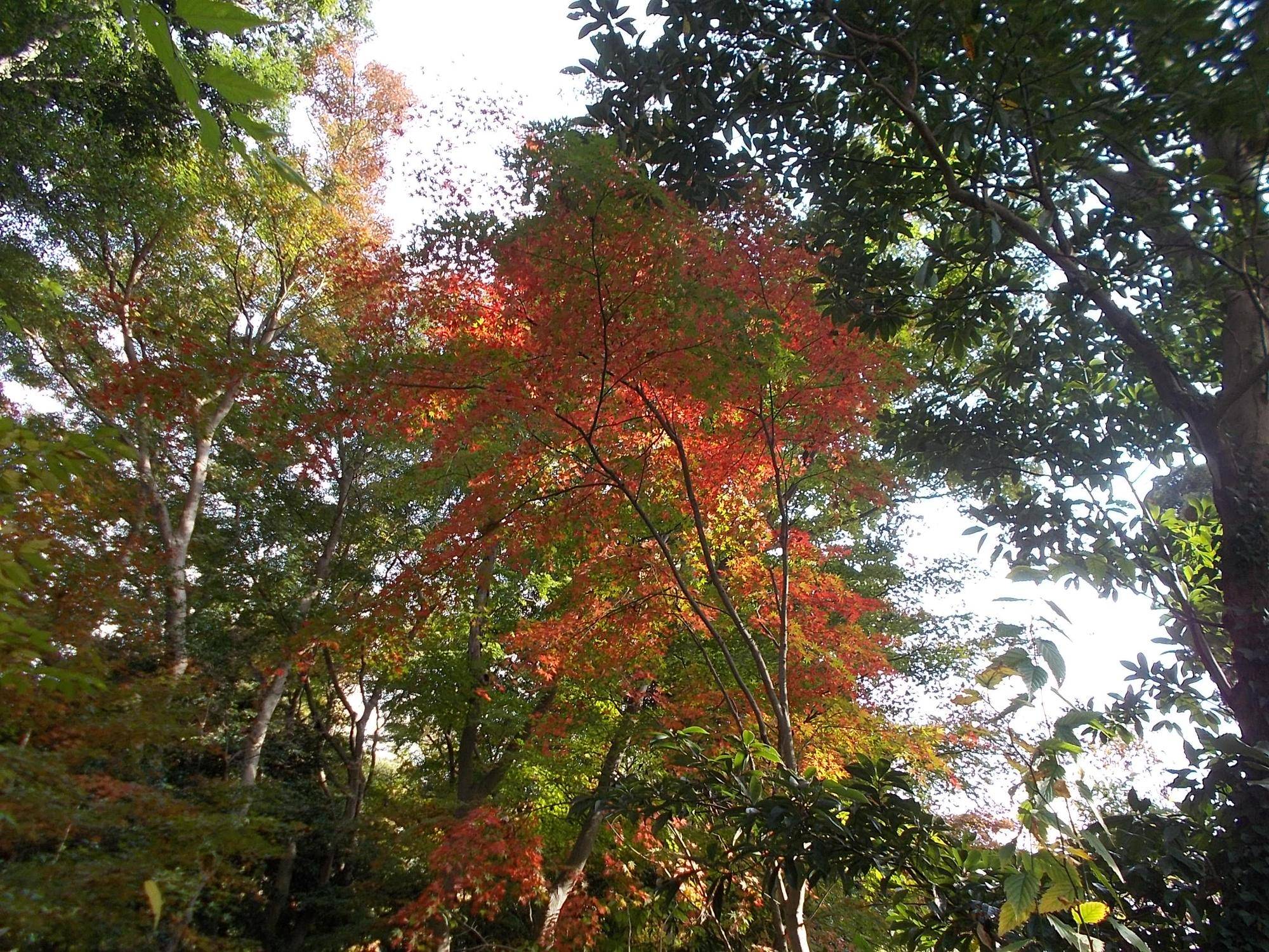 DSCN9962.jpg