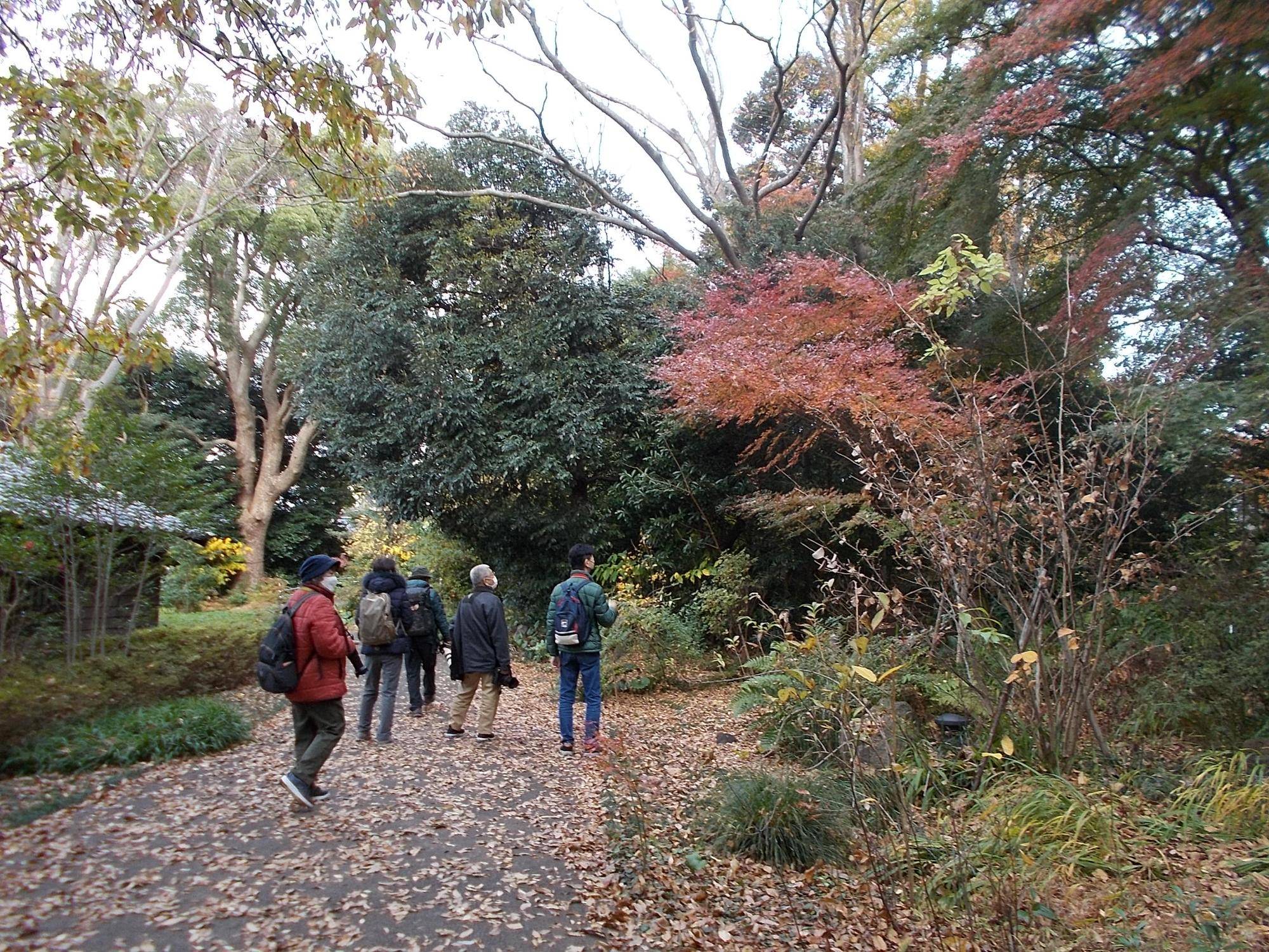 DSCN9964.jpg
