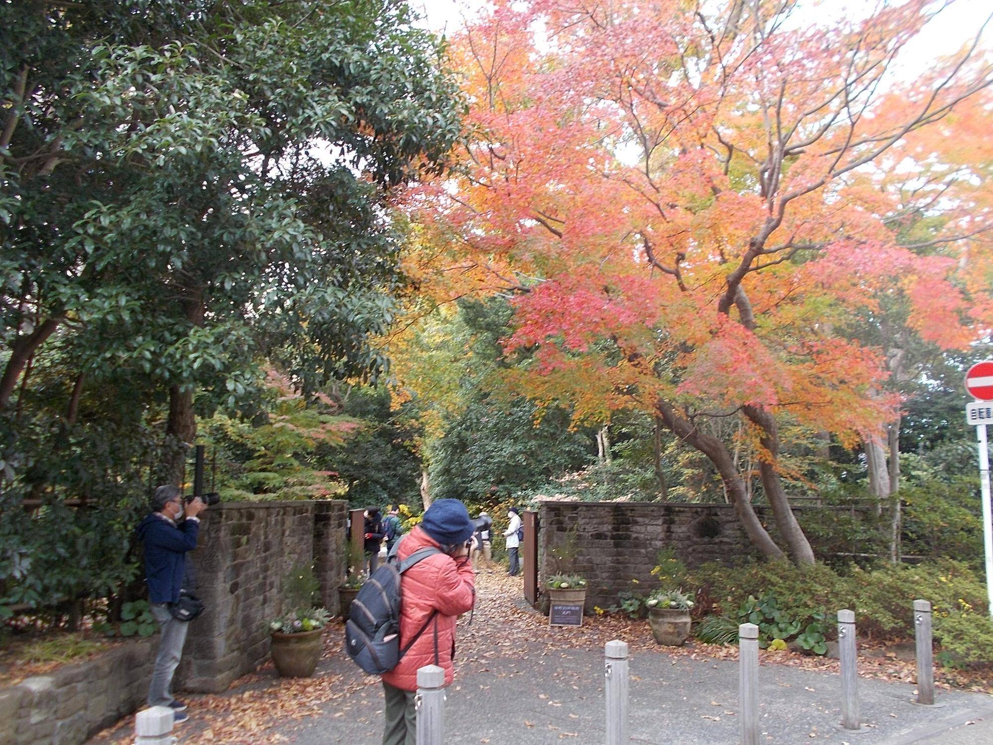 DSCN9973.jpg