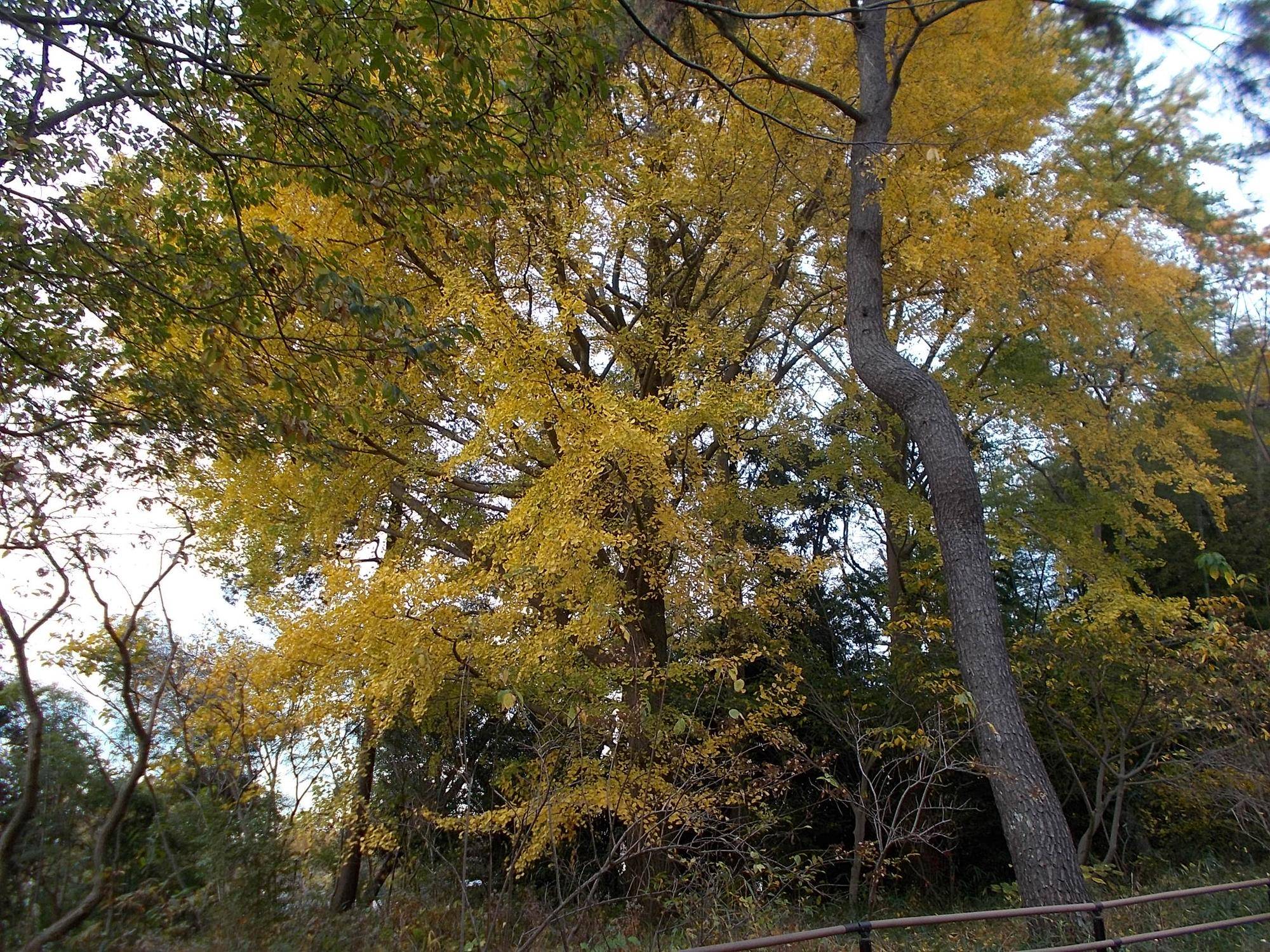 DSCN9982.jpg