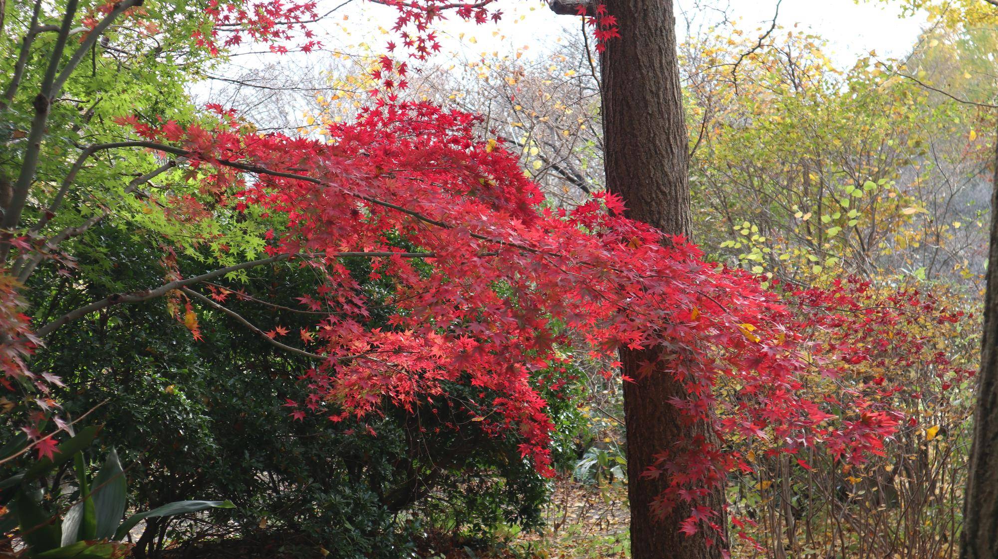 IMG_1676.jpg