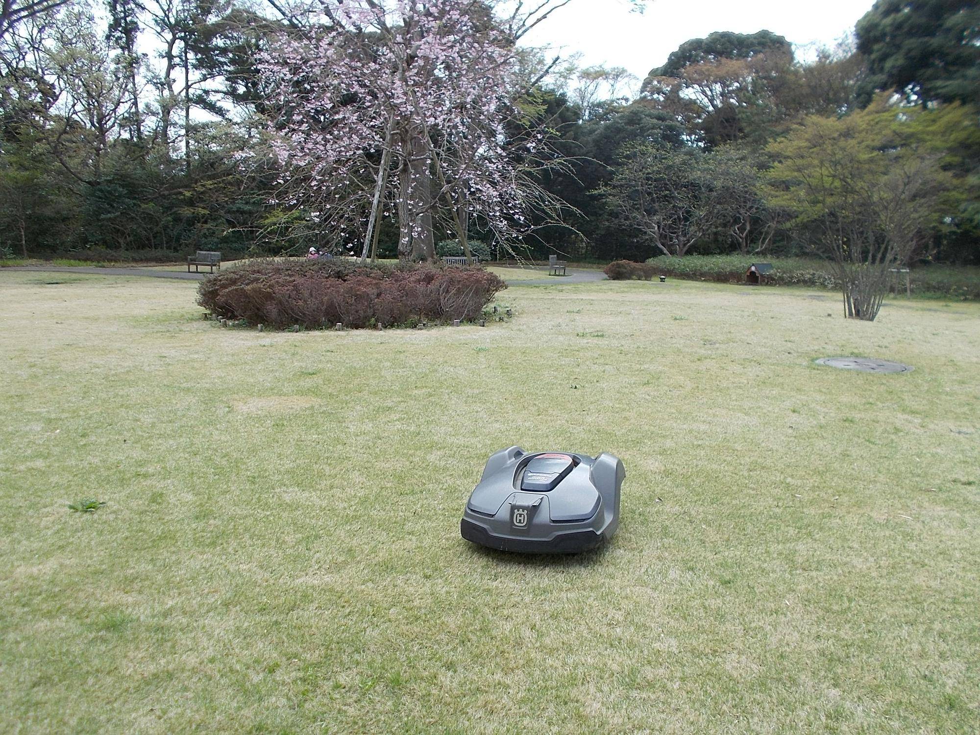 DSCN1540.jpg