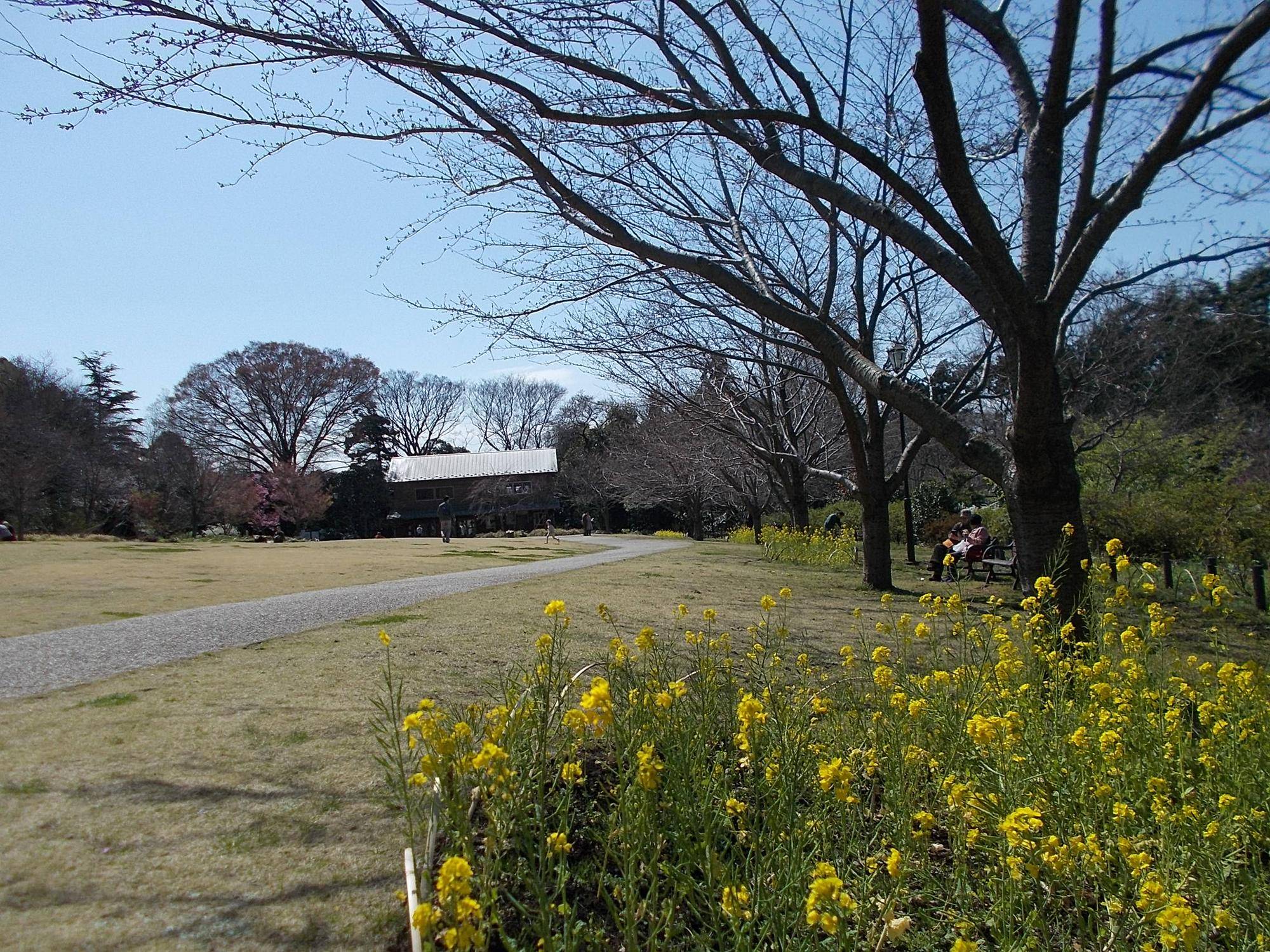 DSCN1437.jpg