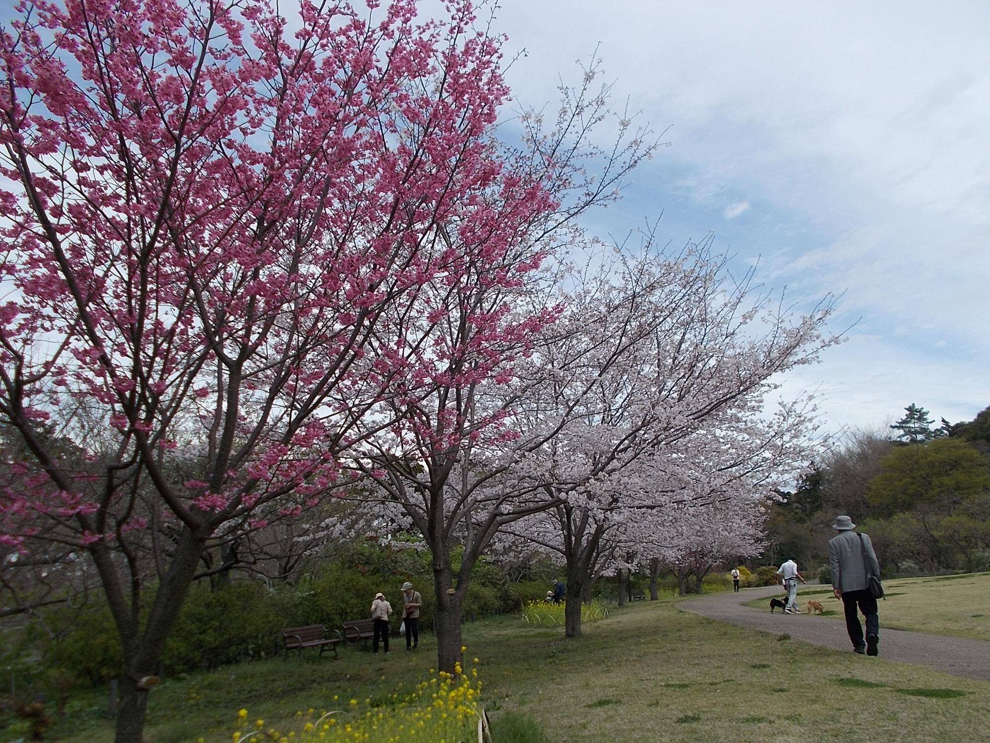 DSCN1496.jpg
