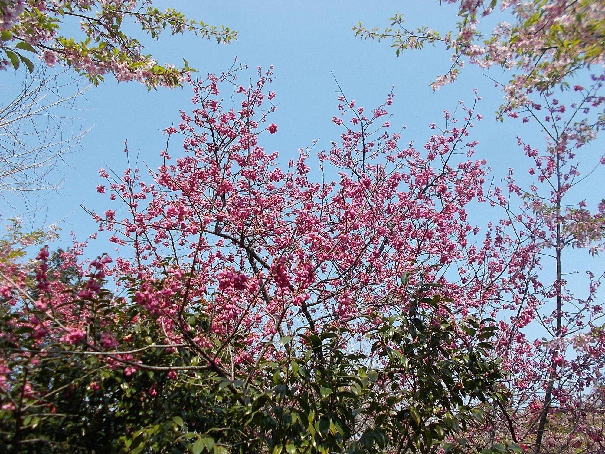 DSCN1212.jpg