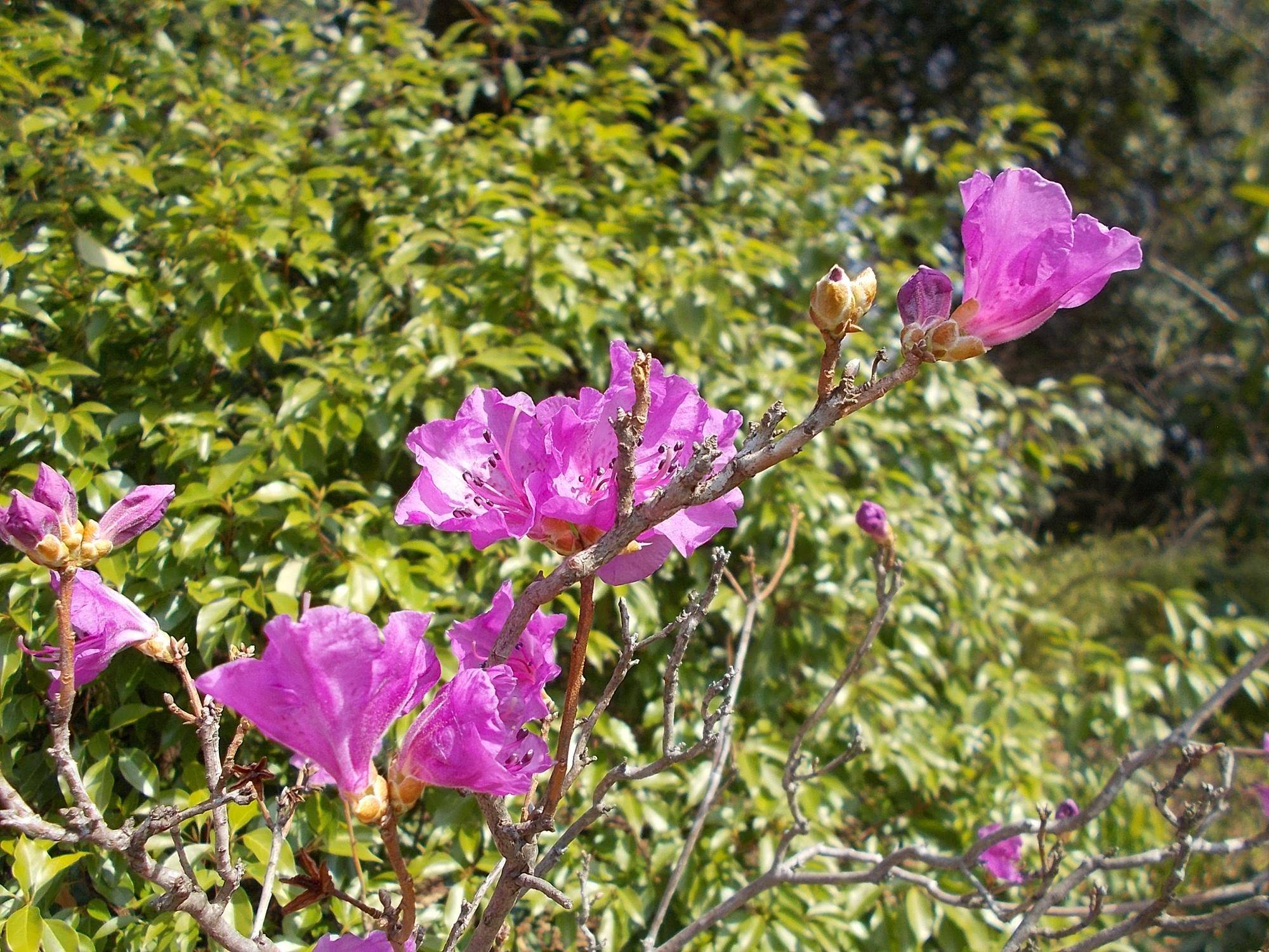 DSCN1196.jpg