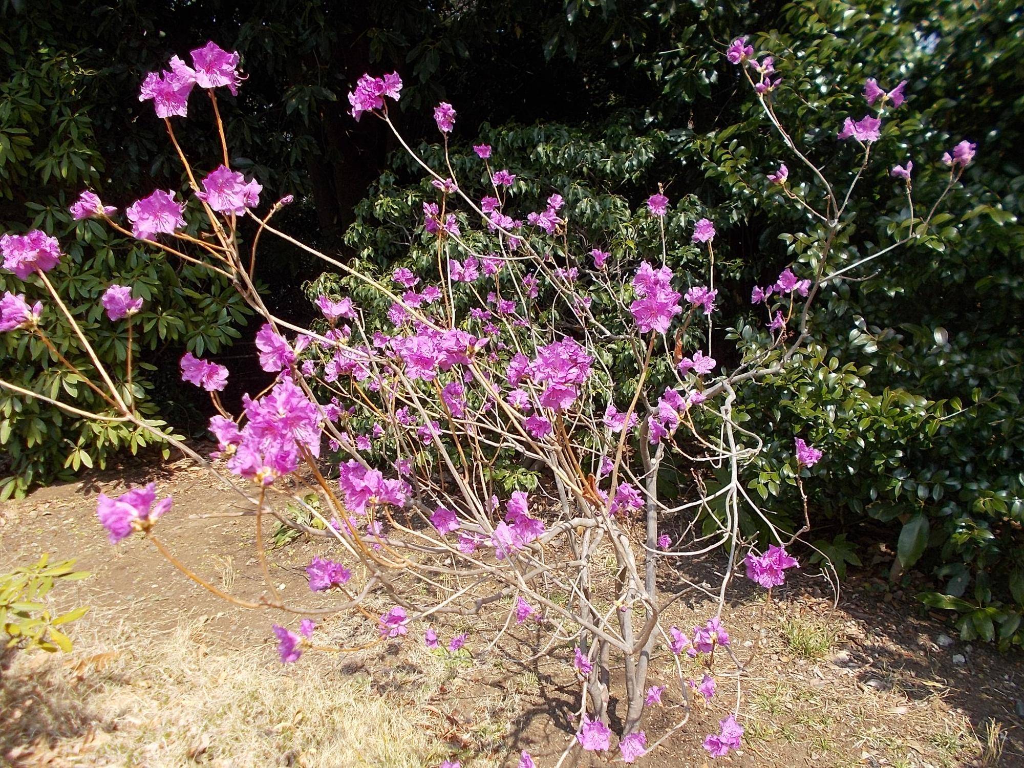 DSCN1197.jpg