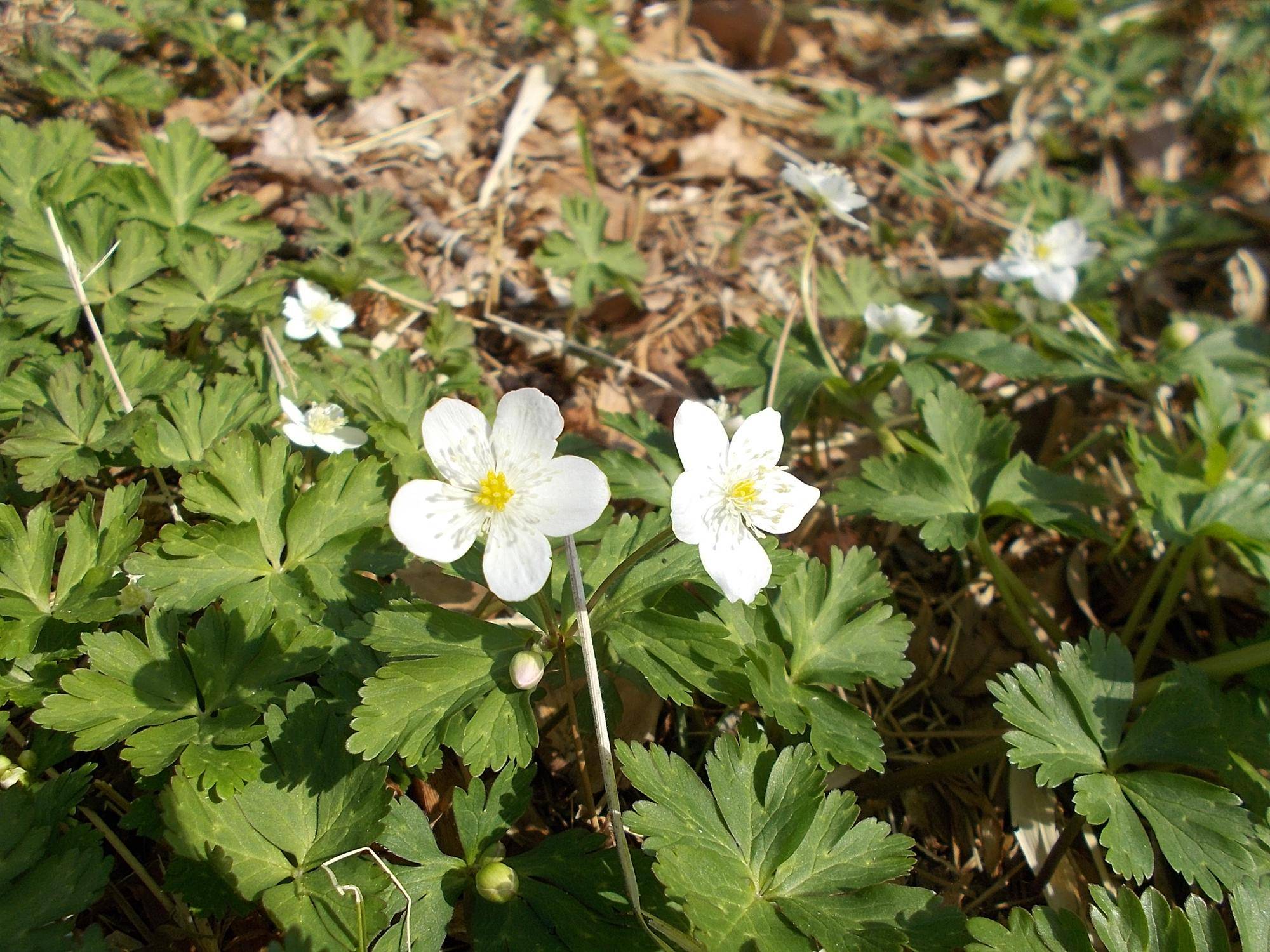 DSCN1201.jpg