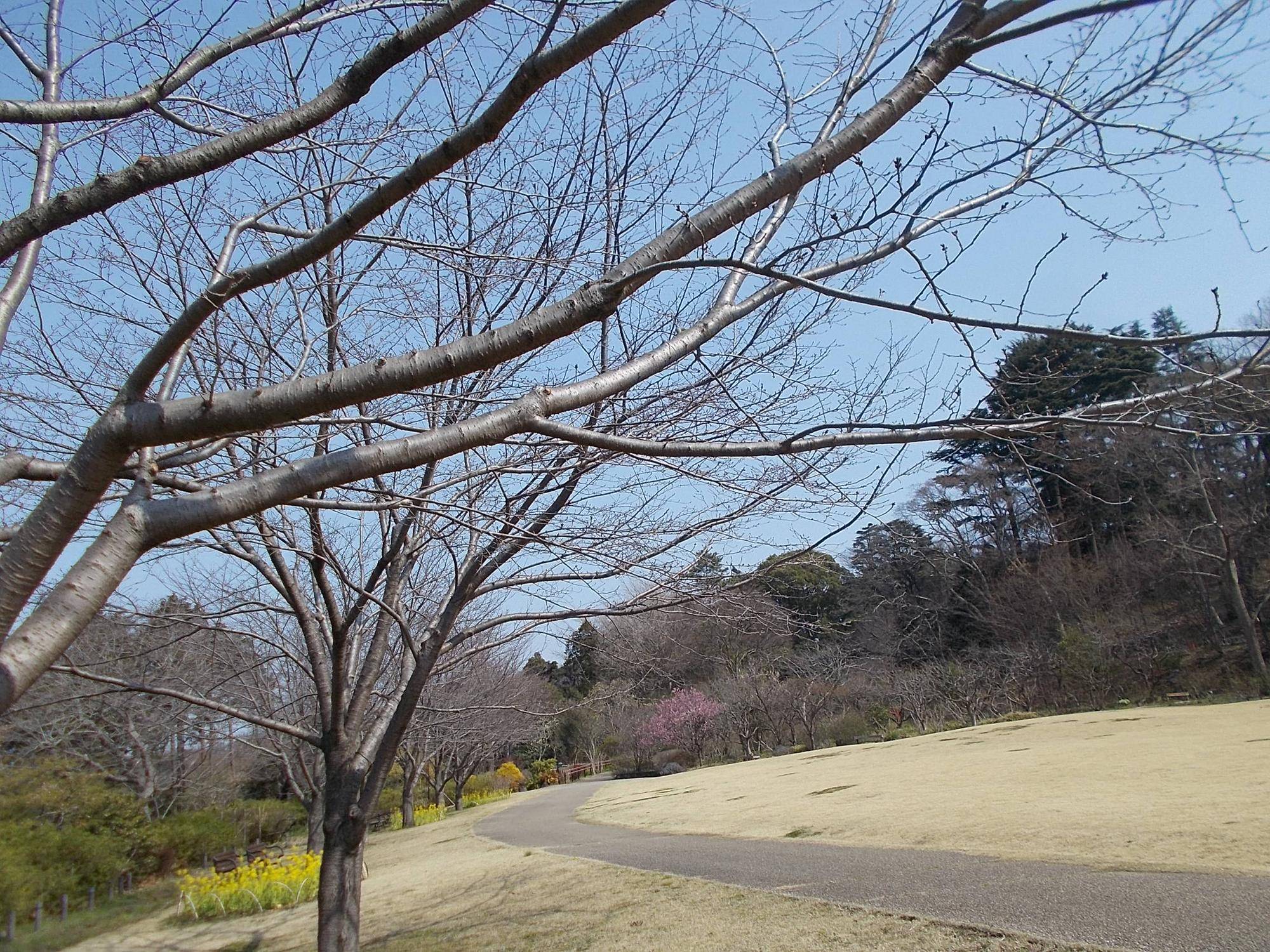 DSCN1203.jpg