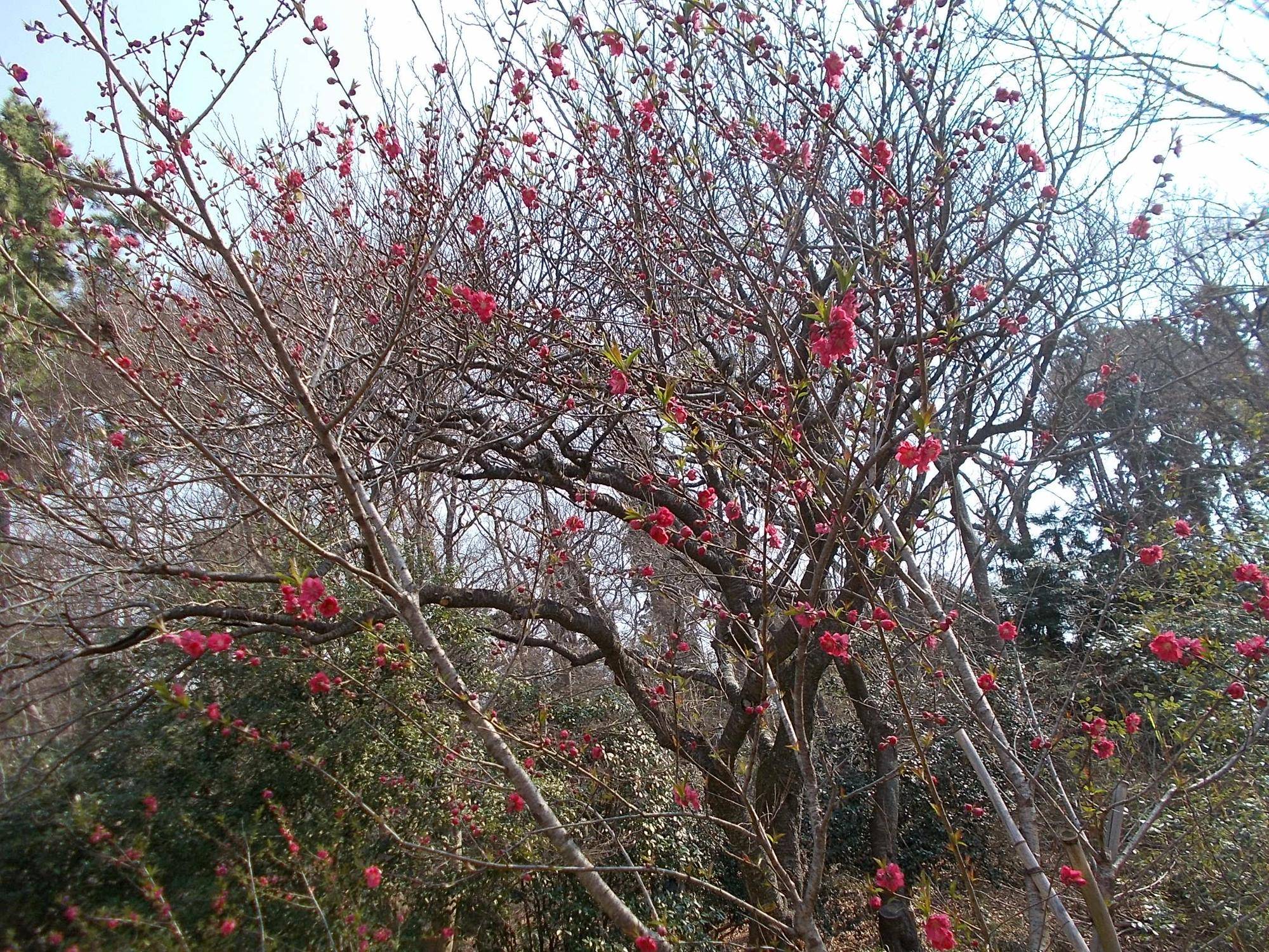 DSCN1206.jpg