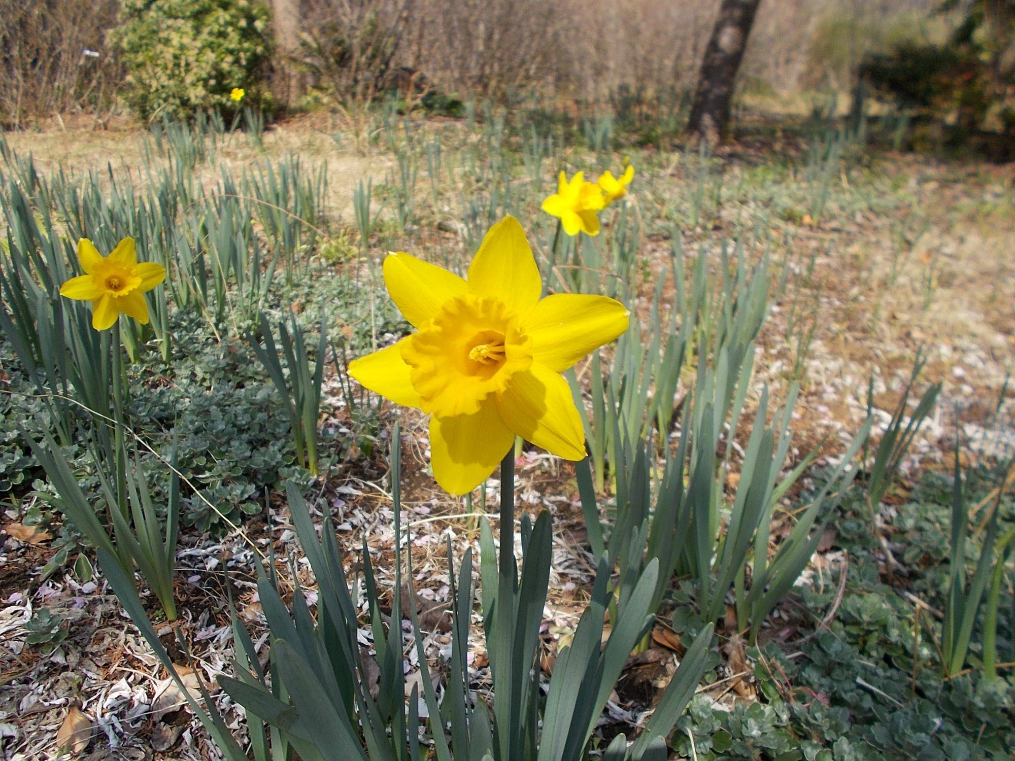 DSCN1213.jpg