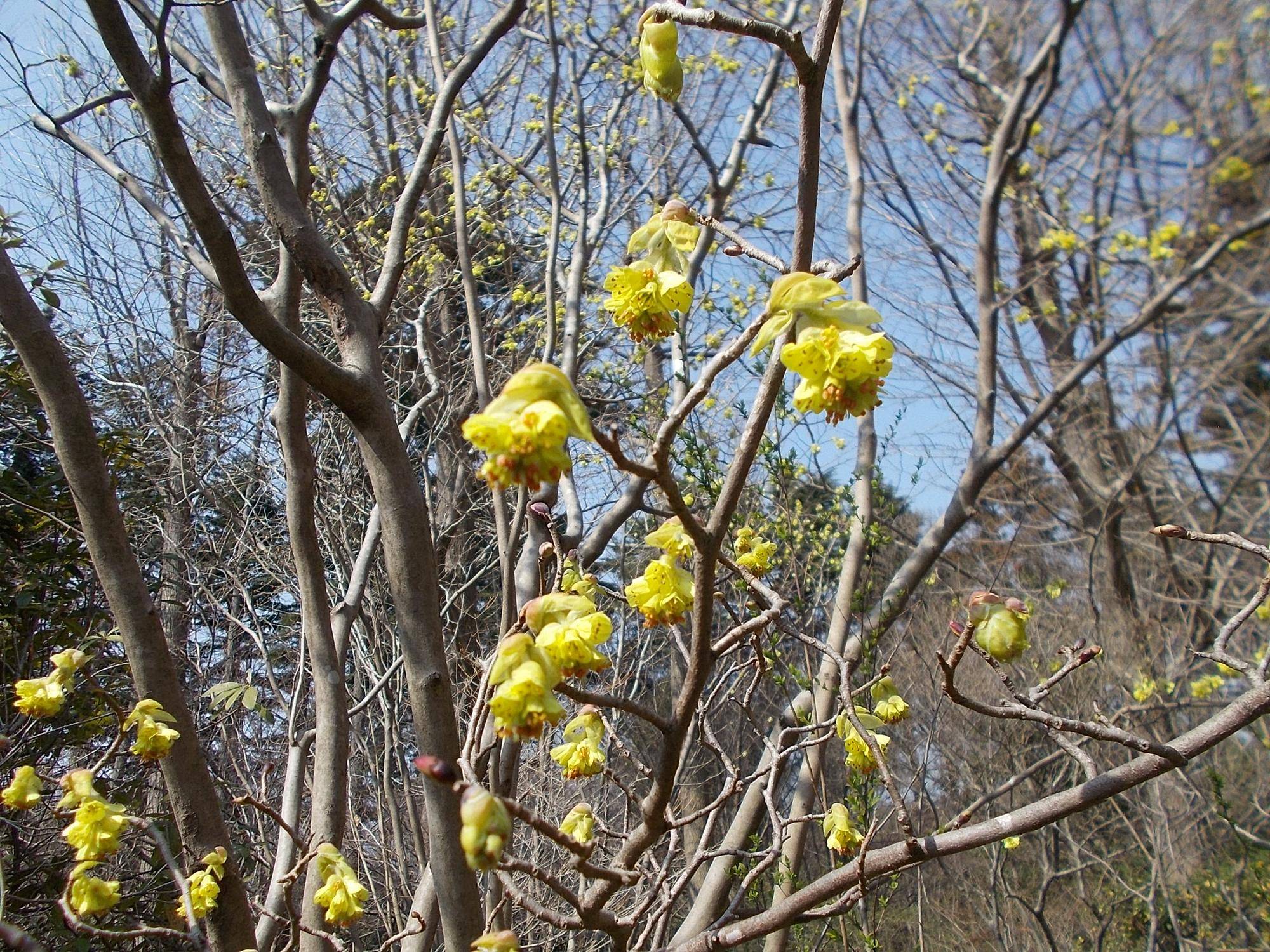 DSCN1218.jpg