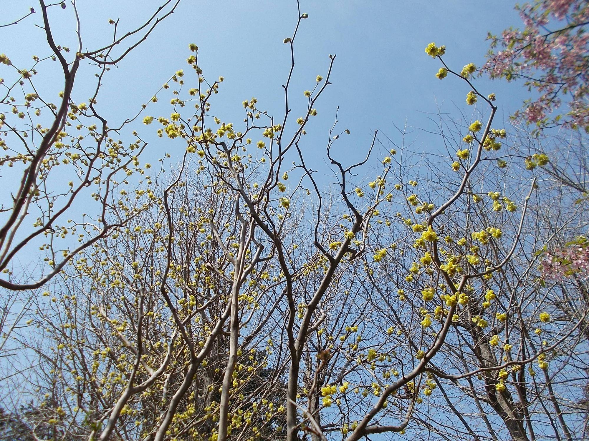 DSCN1222.jpg