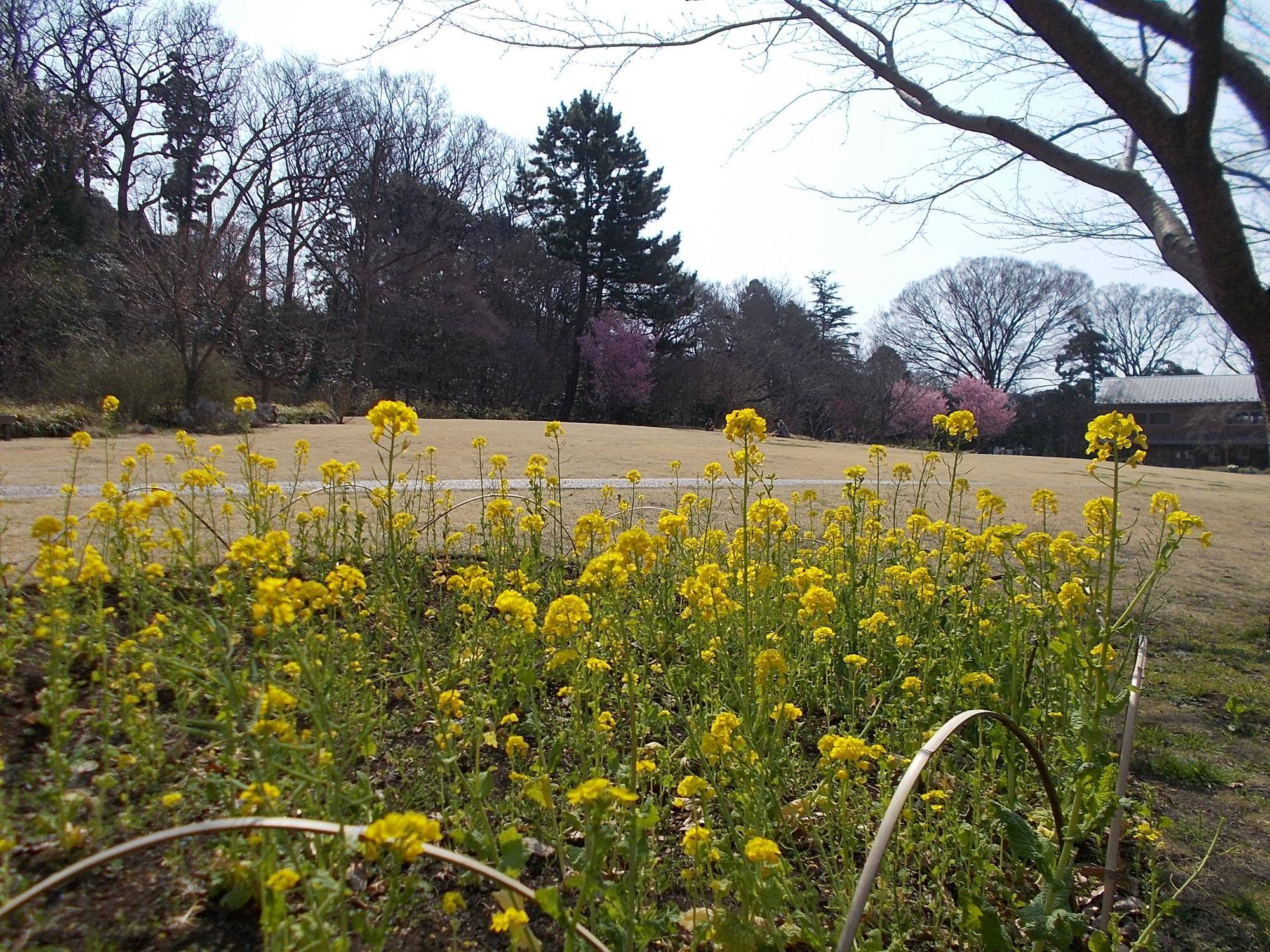 DSCN1224.jpg