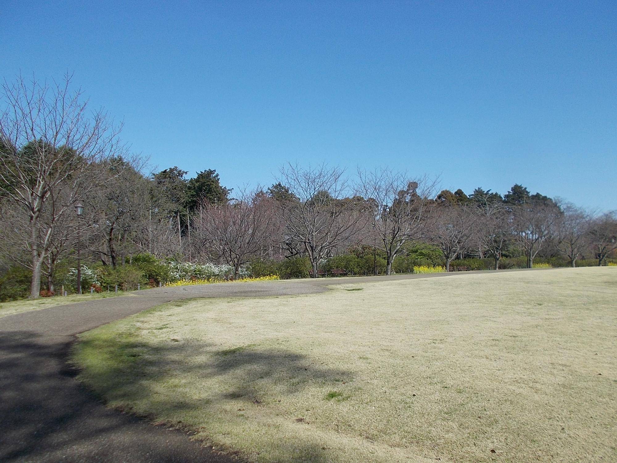 DSCN1408.jpg