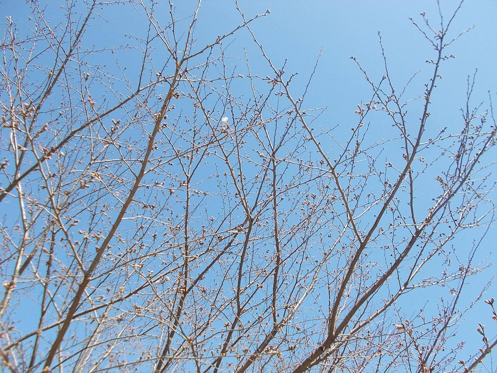 DSCN1409.jpg